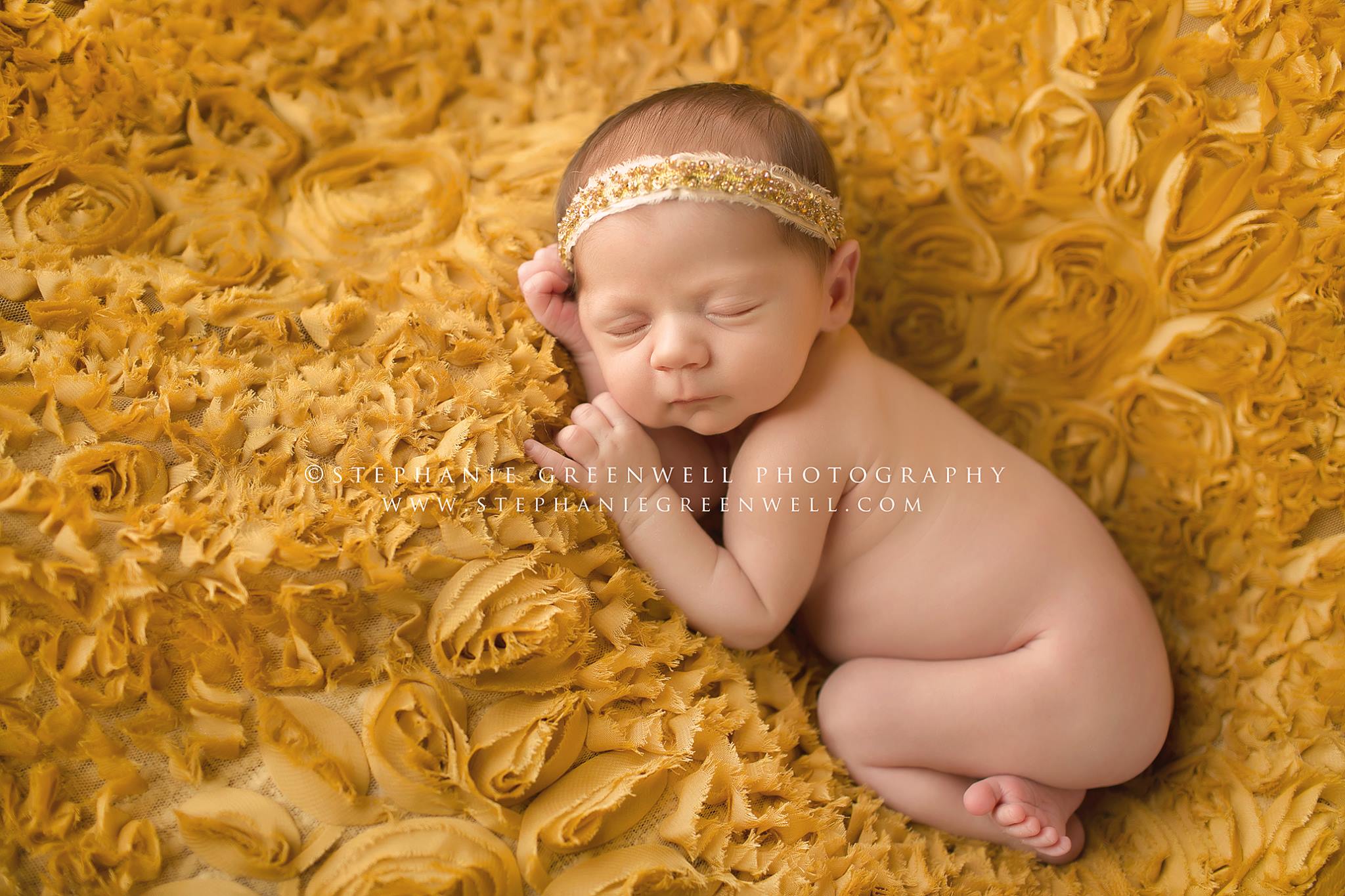 newborn gold rose backdrop stephanie greenwell southeast missouri photography