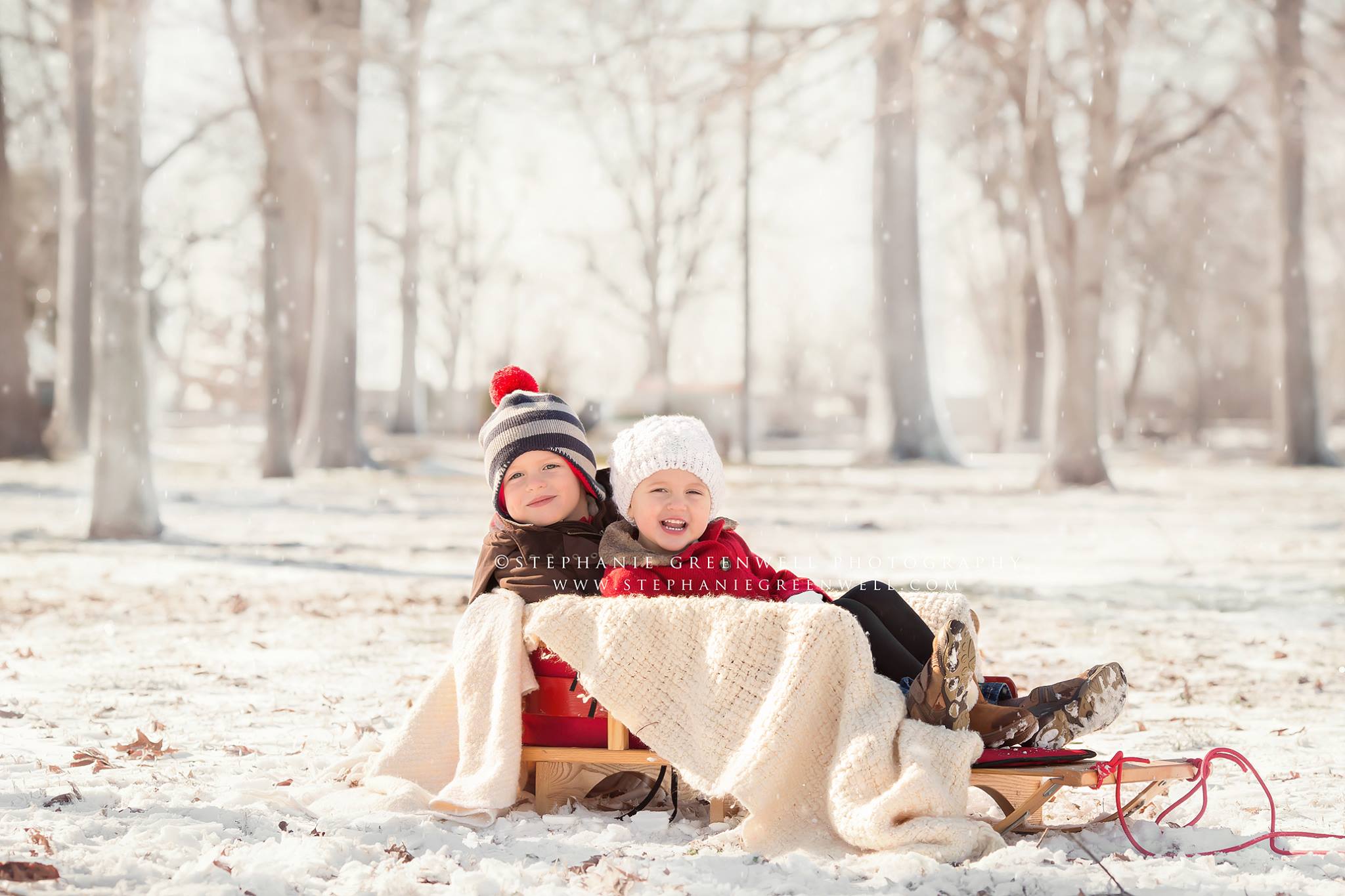 snow mini sessions sled trees by stephanie greenwell photography southeast missouri hayti