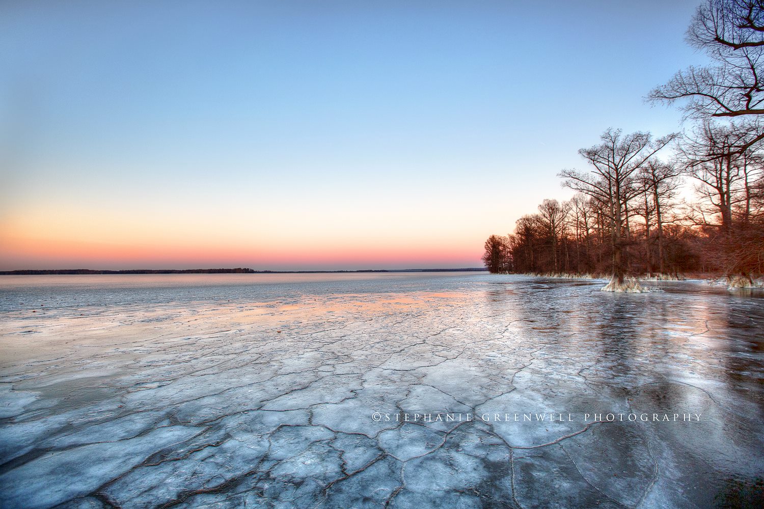 reelfoot lake tennessee frozen sunset trees ice cypress point southeast missouri photographer stephanie greenwell