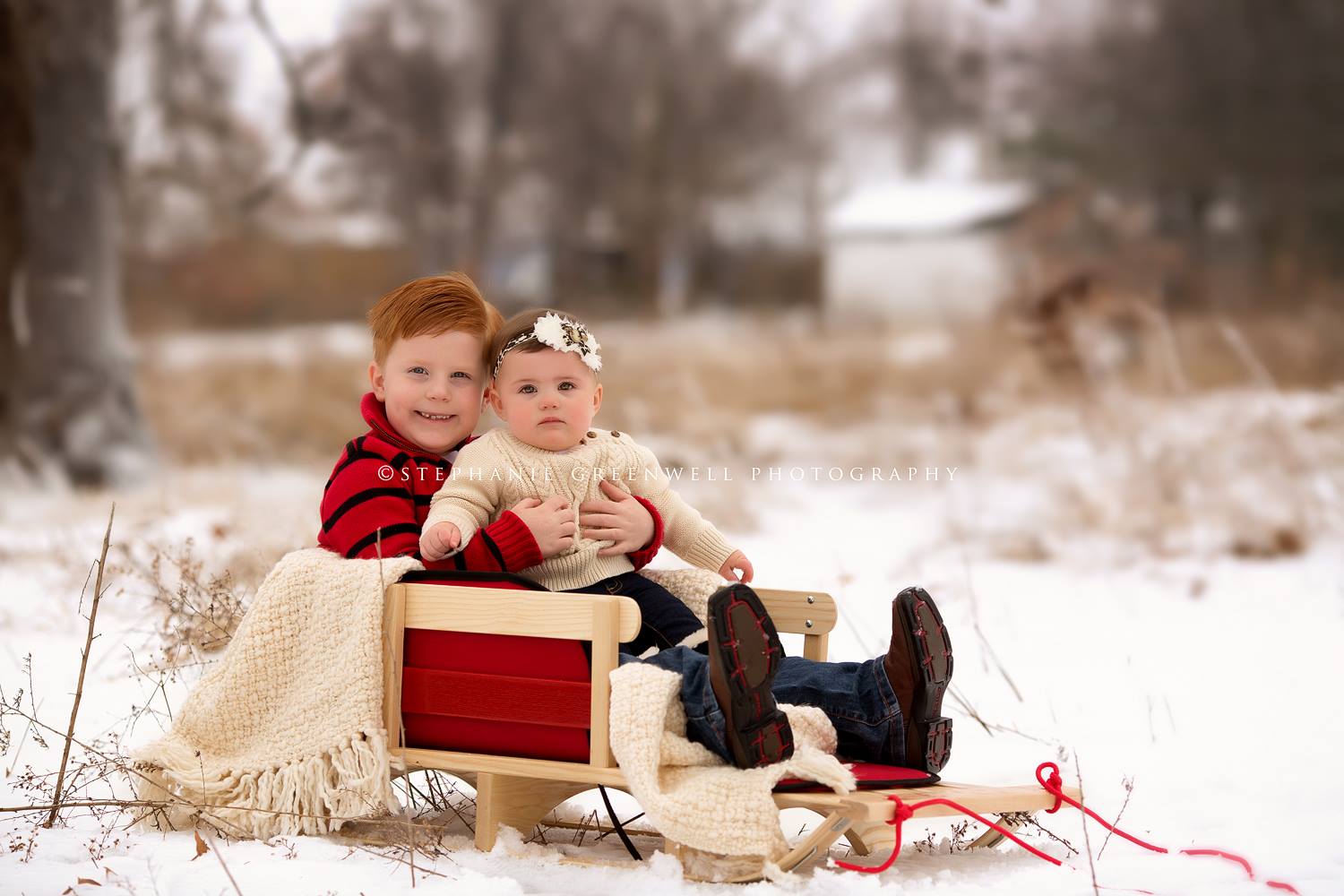 baby in snow field siblings sled forest grove southeast missouri photographer stephanie greenwell