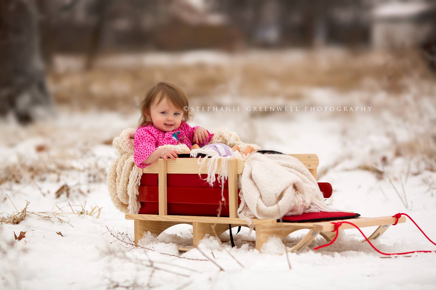 baby in snow field sled forest southeast missouri photographer stephanie greenwell