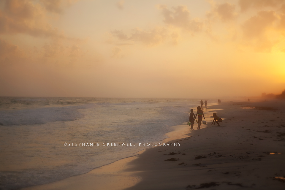 destin florida beach photography sunset kids digging for sand crabs stephanie greenwell photography