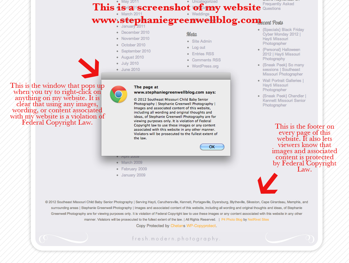 stephanie greenwell photography federal copyright law prosecution 