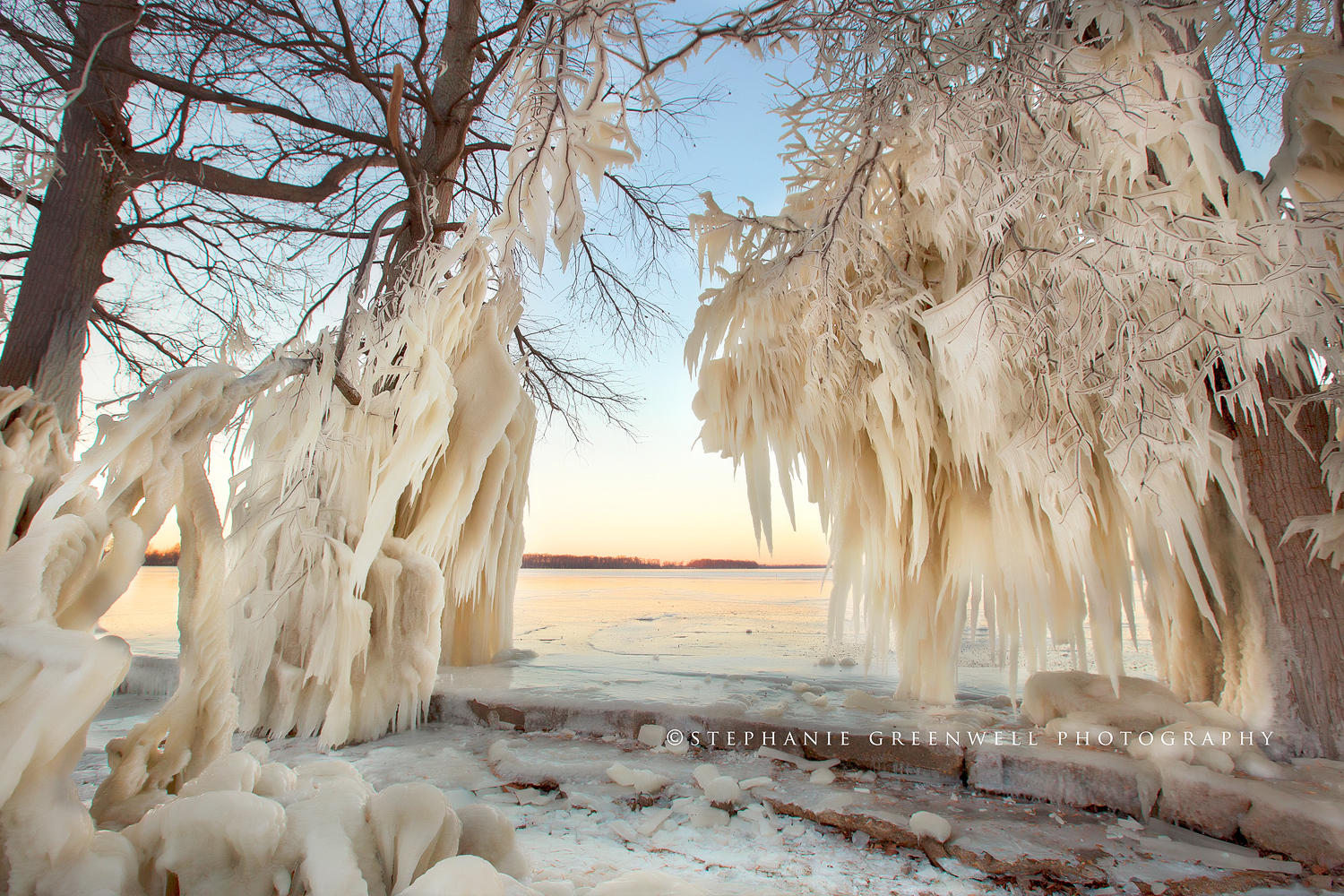 reelfoot lake ice trees winter frozen landscape northwest tennessee photography stephanie greenwell