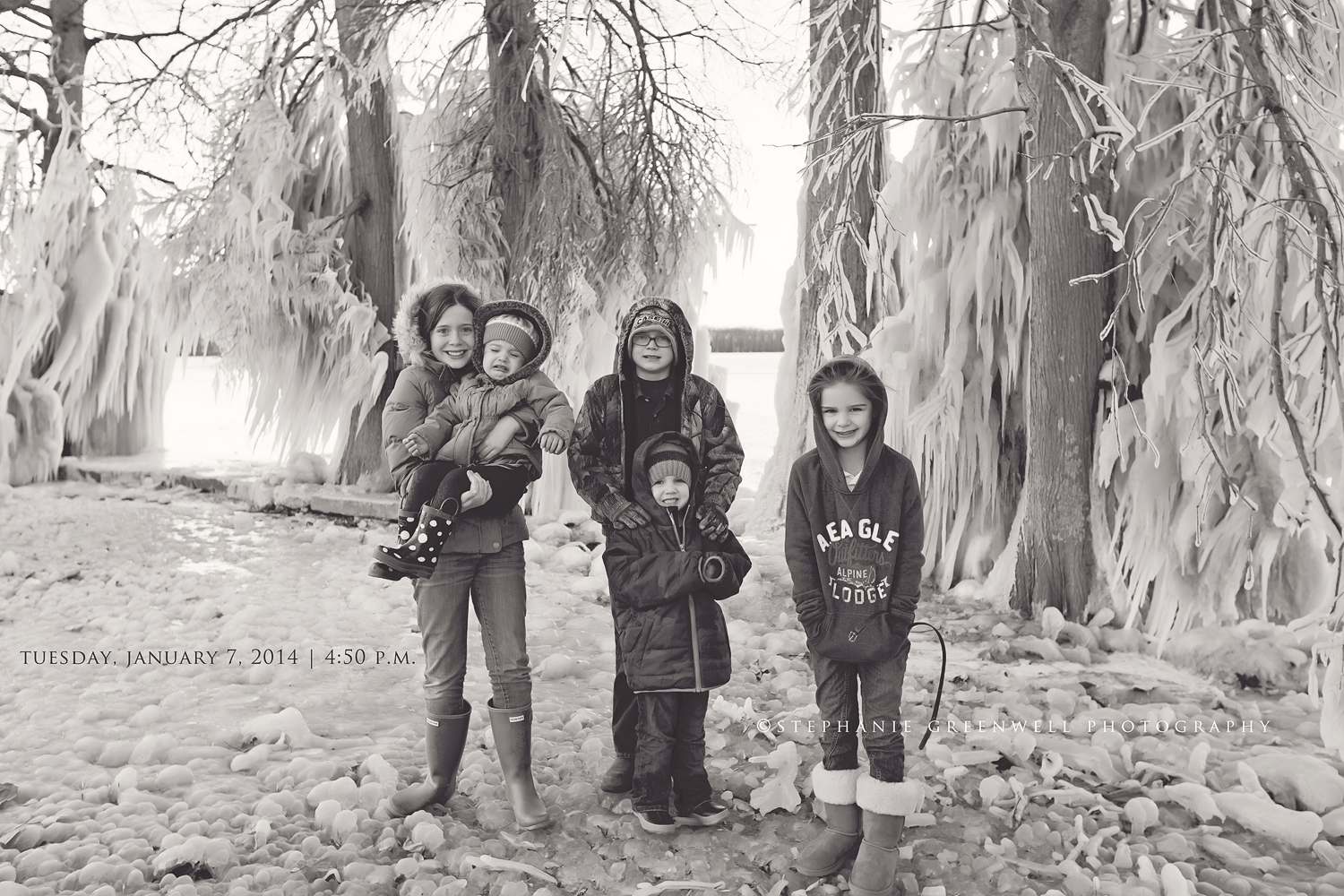 photo a day reelfoot lake ice trees cold southeast missouri photographer stephanie greenwell