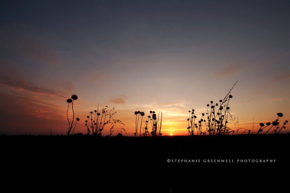 landscape silhouette hayti missouri 16-35 southeast missouri photographer stephanie greenwell