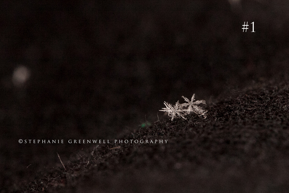 macro snowflake photography stephanie greenwell southeast missouri SEMO