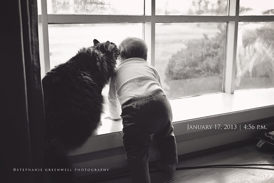 baby with cat in window kissing baby stephanie greenwell SEMO photographer