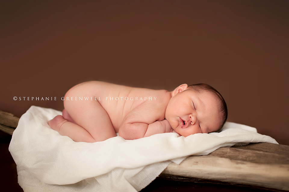 newborn on driftwood mississippi river stephanie greenwell southeast missouri photographers