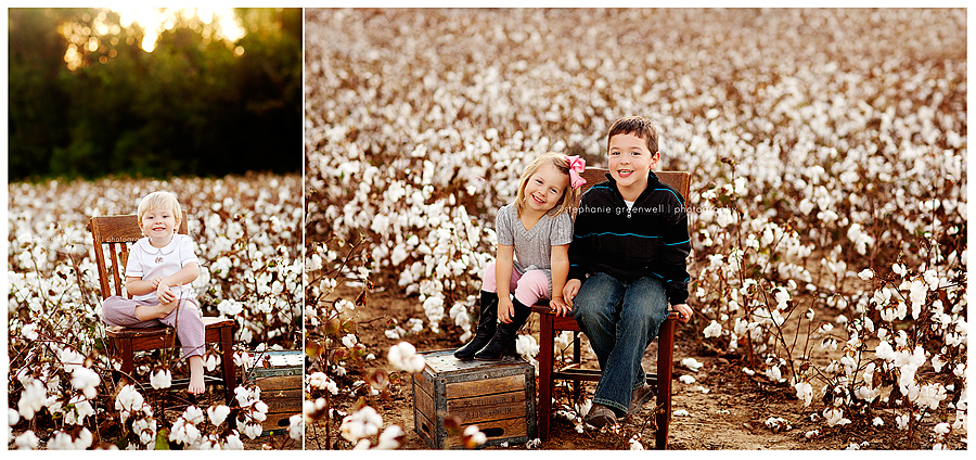 cotton field southeast missouri photography children