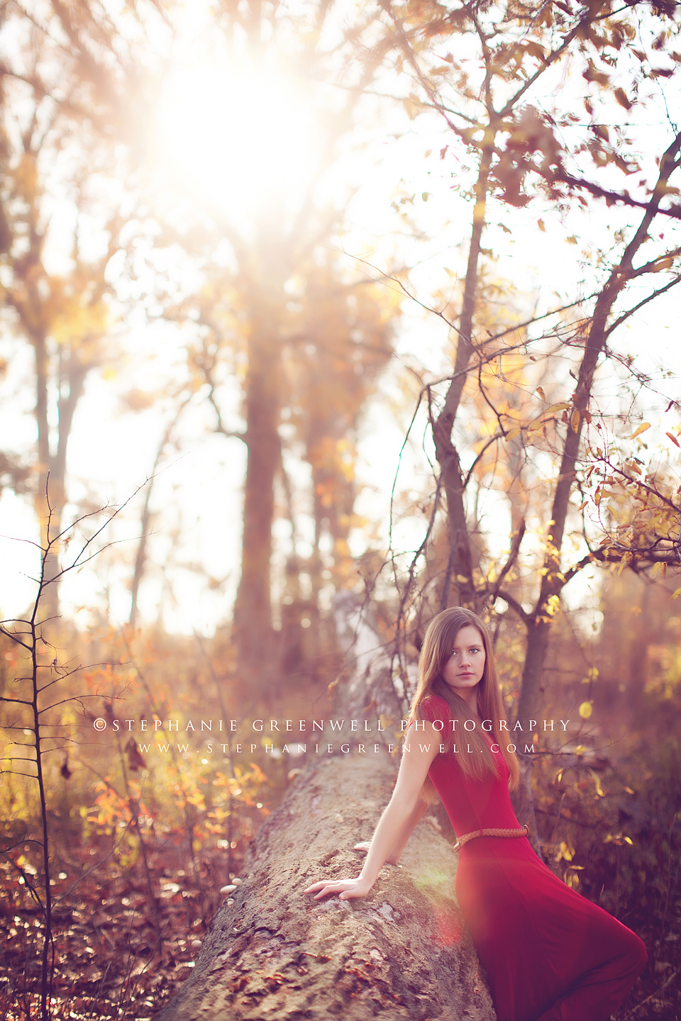 senior girl in red dress in woods vintage stephanie greenwell