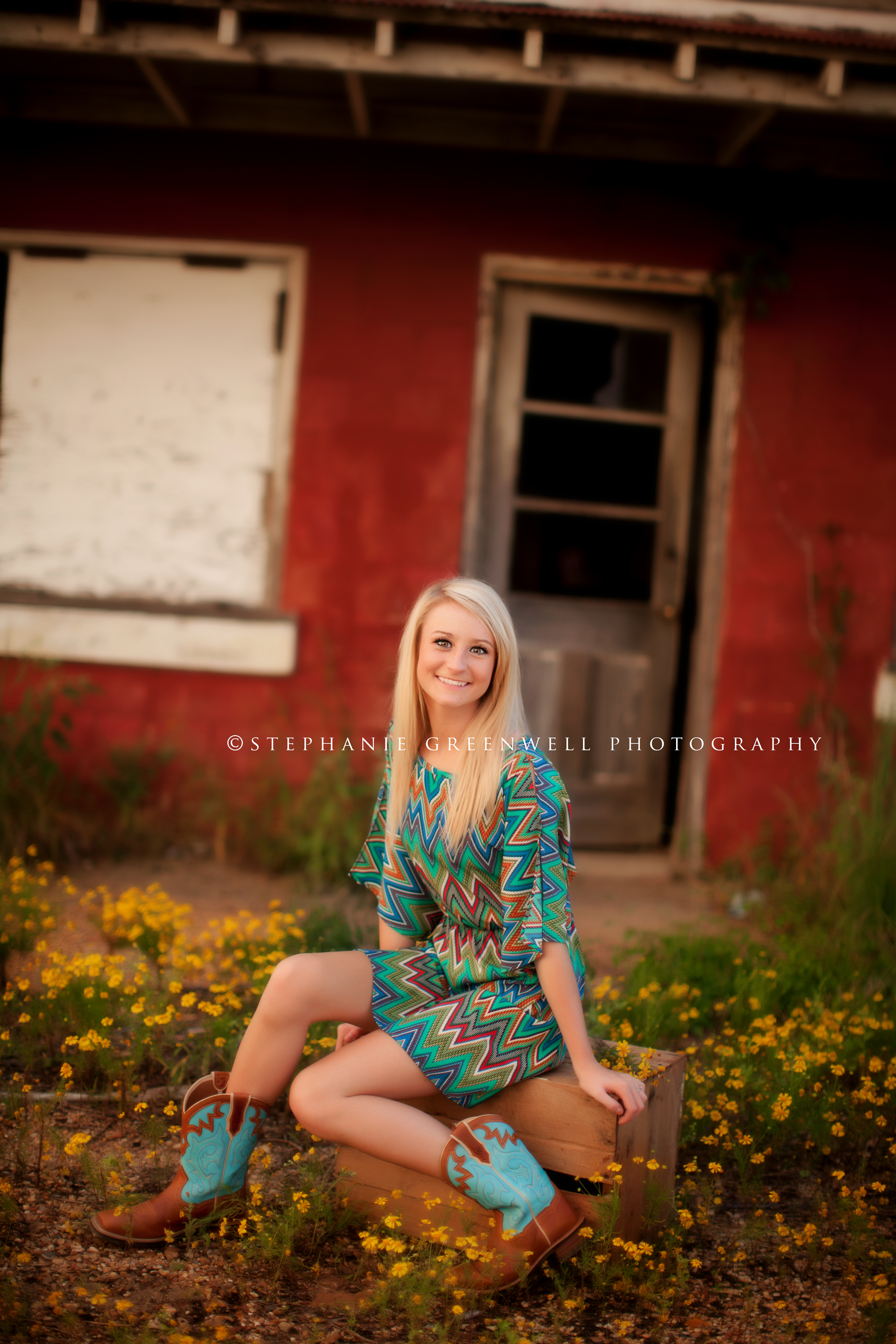 rachel ross holcomb high school senior 2014 barn yellow flowers southeast missouri photographer stephanie greenwell