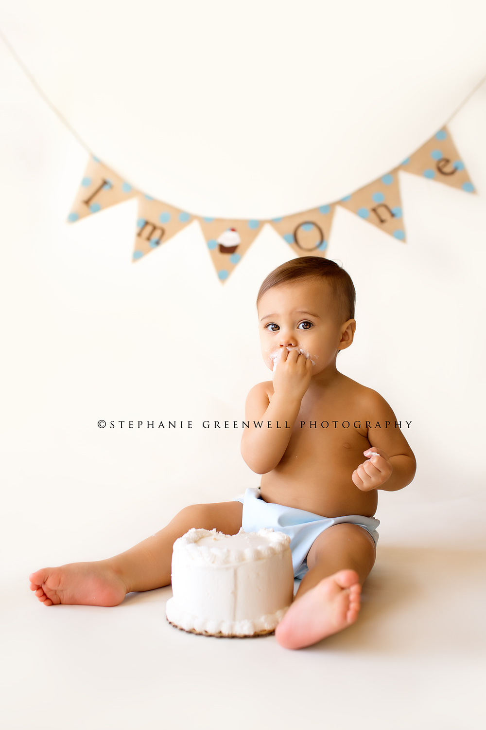 baby boy first birthday diaper cover birthday cake banner southeast missouri photographer stephanie greenwell