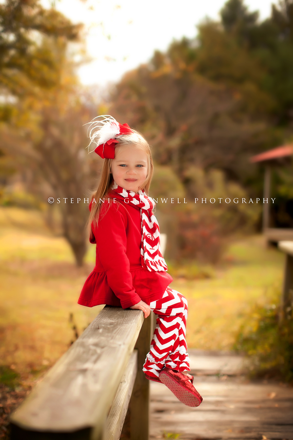 sarah faulkner west tennessee green frog child photography christmas southeast missouri photographer stephanie greenwell