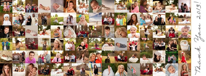 stephanie greenwell photography collage new year 2014 thank you southeast missouri photography