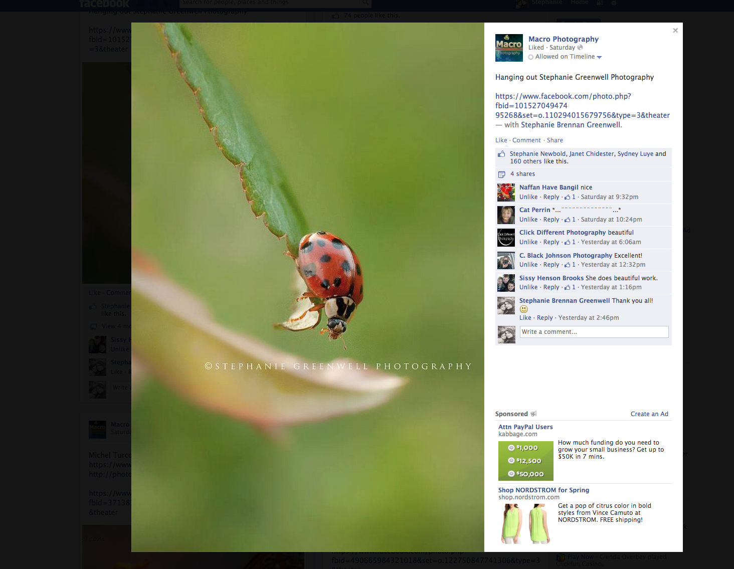 macro photography facebook screenshot southeast missouri photographer stephanie greenwell