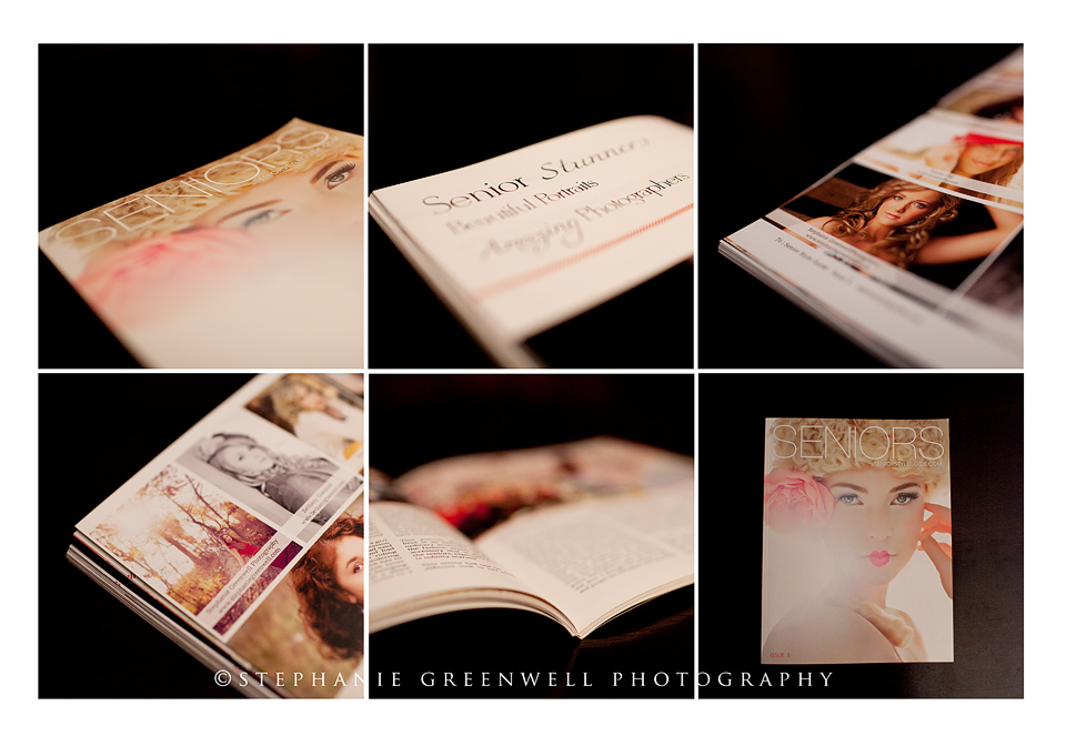 senior style guide senior publication vintage senior stephanie greenwell missouri photographers