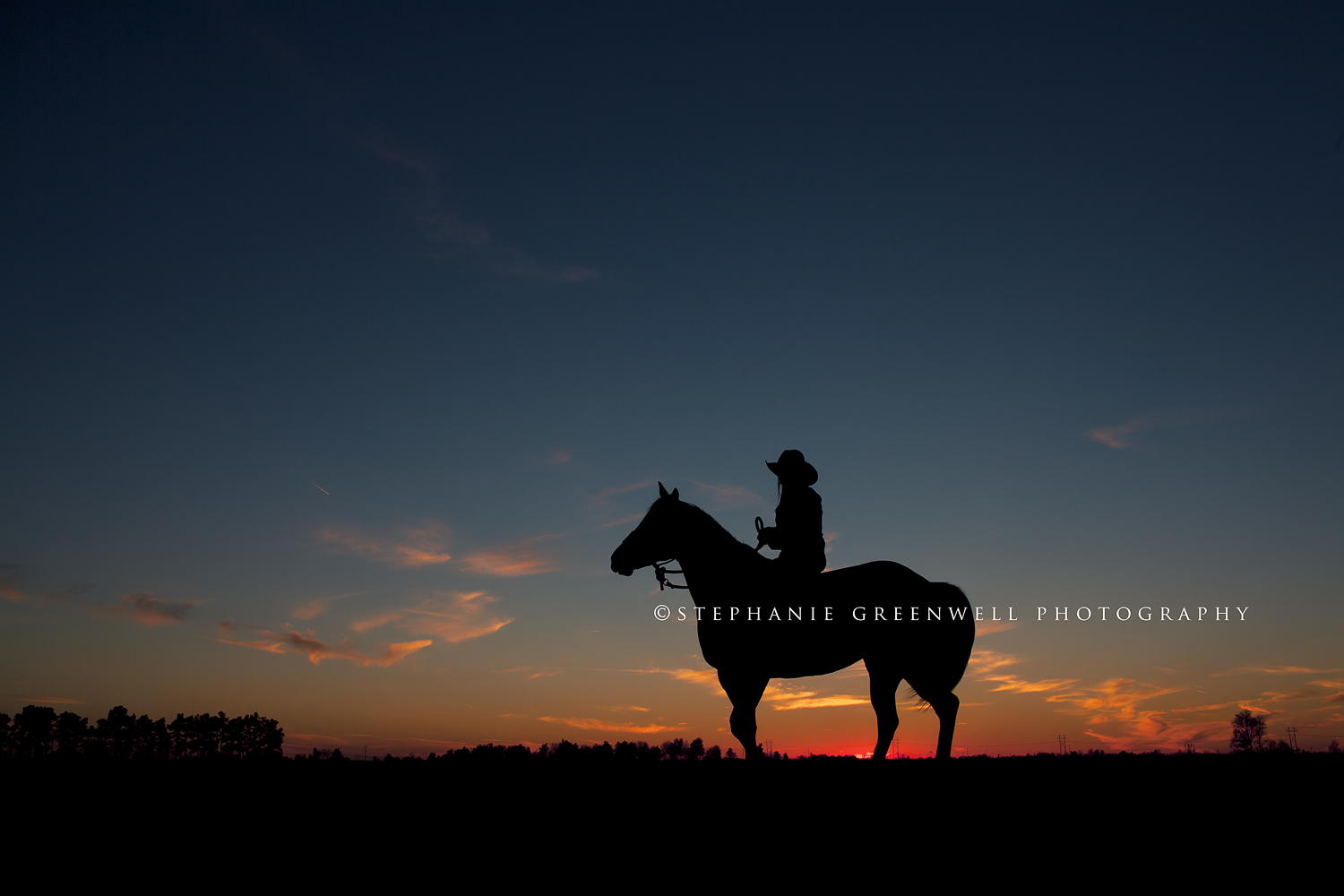 taylor bradfield senior north pemiscot silhouette horse sunset southeast missouri photography stephanie greenwell