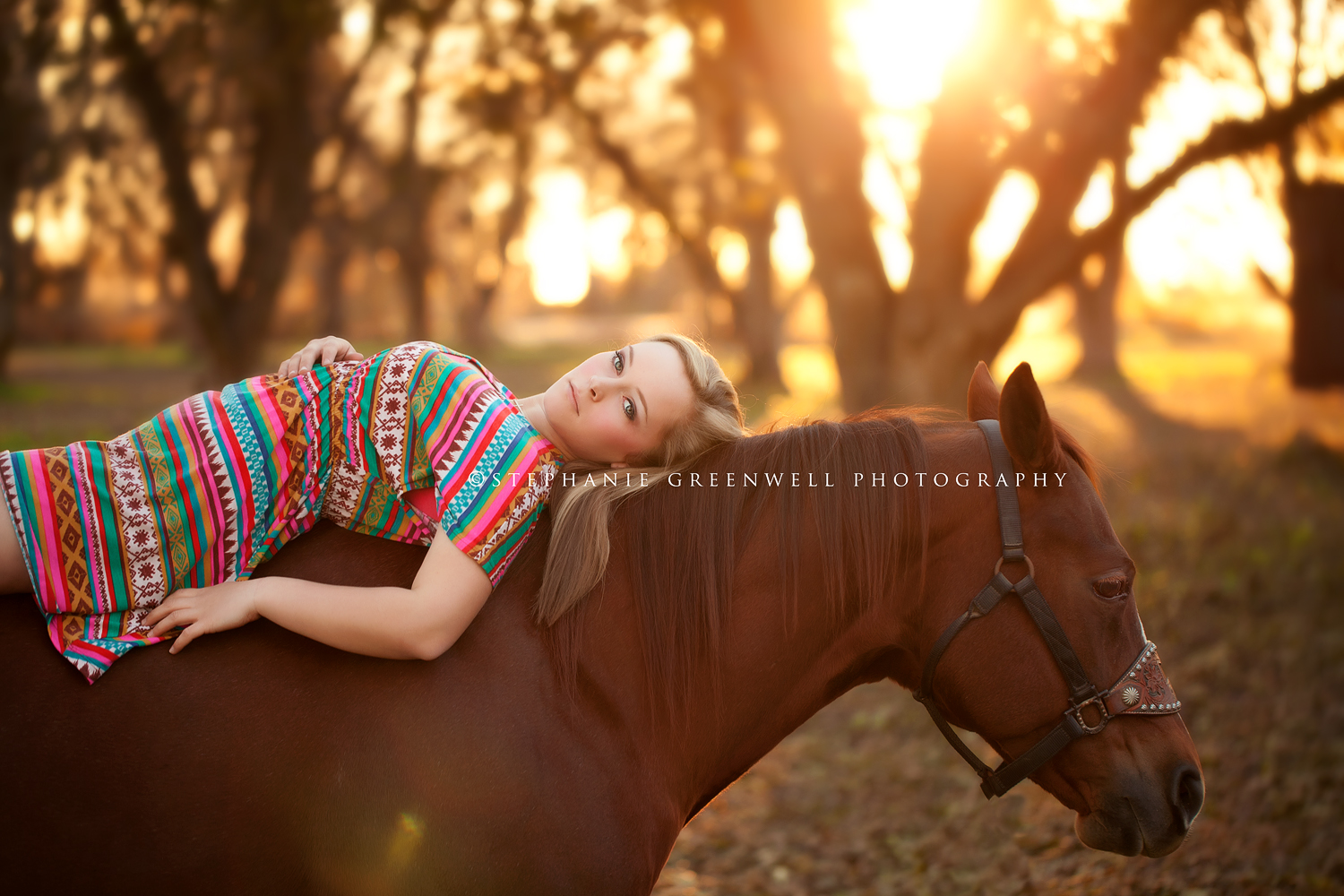 taylor bradfield senior north pemiscot horse sunset southeast missouri photography stephanie greenwell