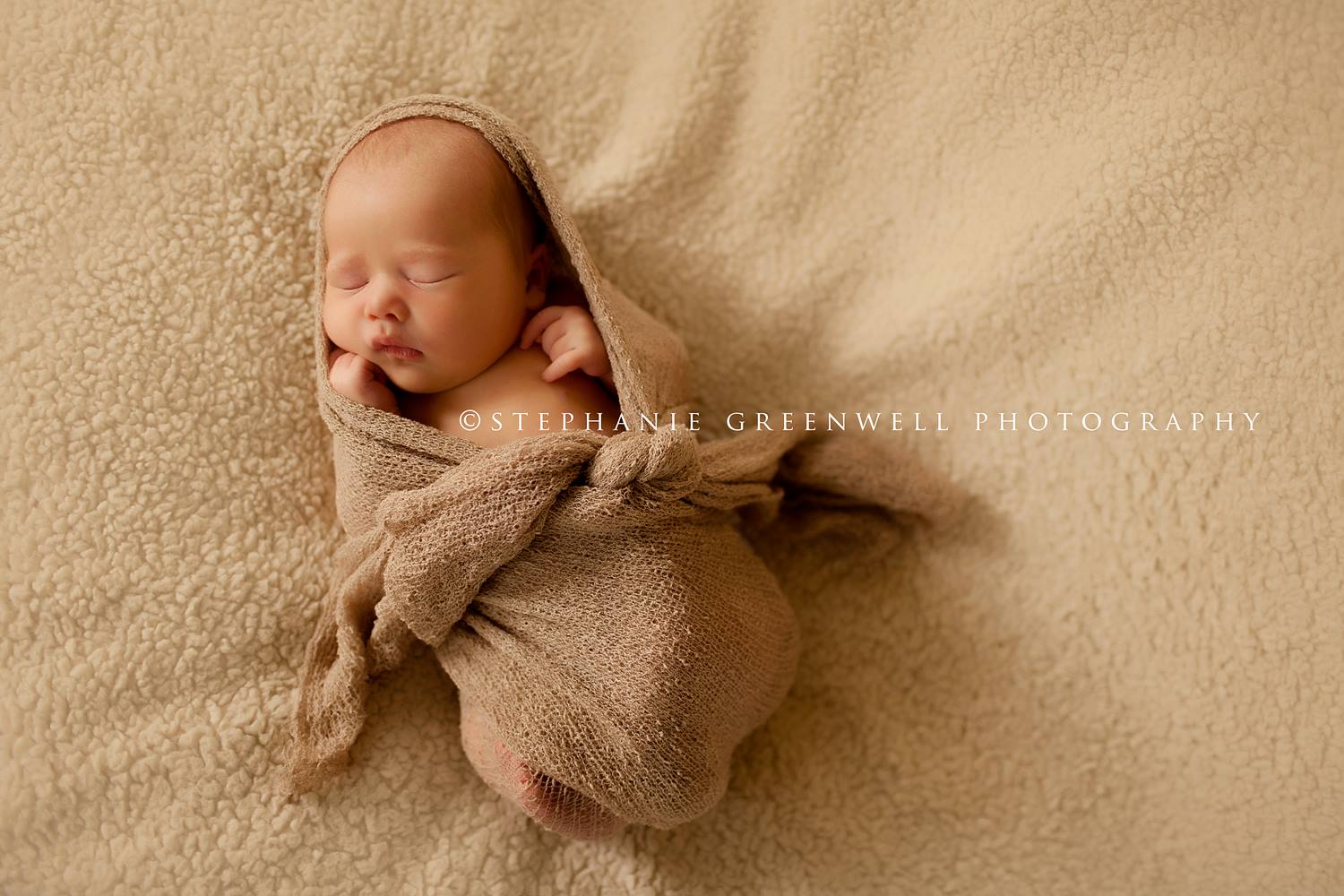 wrapped posed newborn photographer stephanie greenwell southeast missouri