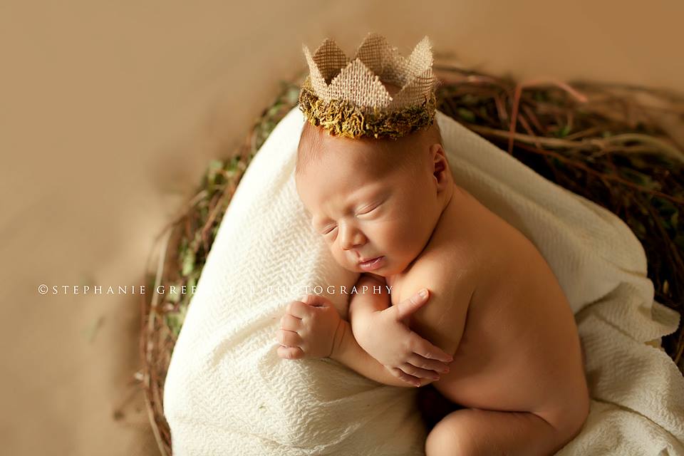 weston brown newborn redhead burlap moss crown nest southeast missouri photographer stephanie greenwell